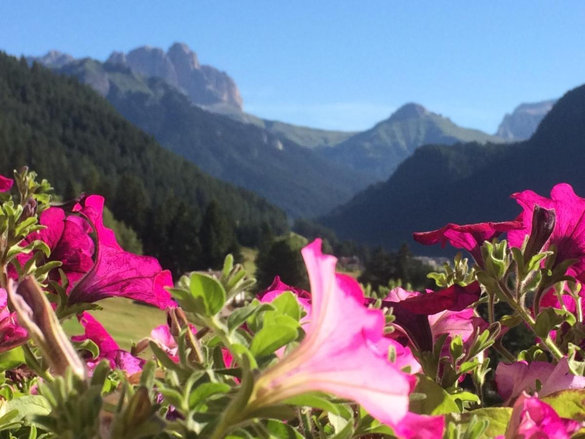 Alpine Touring Hotel-Petfriendly Pozza di Fassa Exterior foto