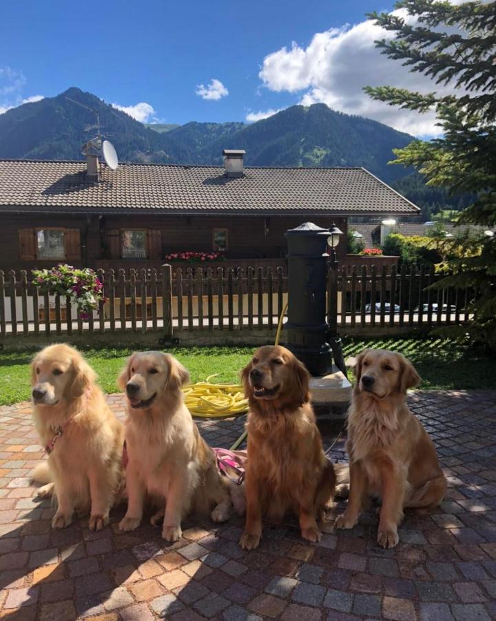 Alpine Touring Hotel-Petfriendly Pozza di Fassa Exterior foto