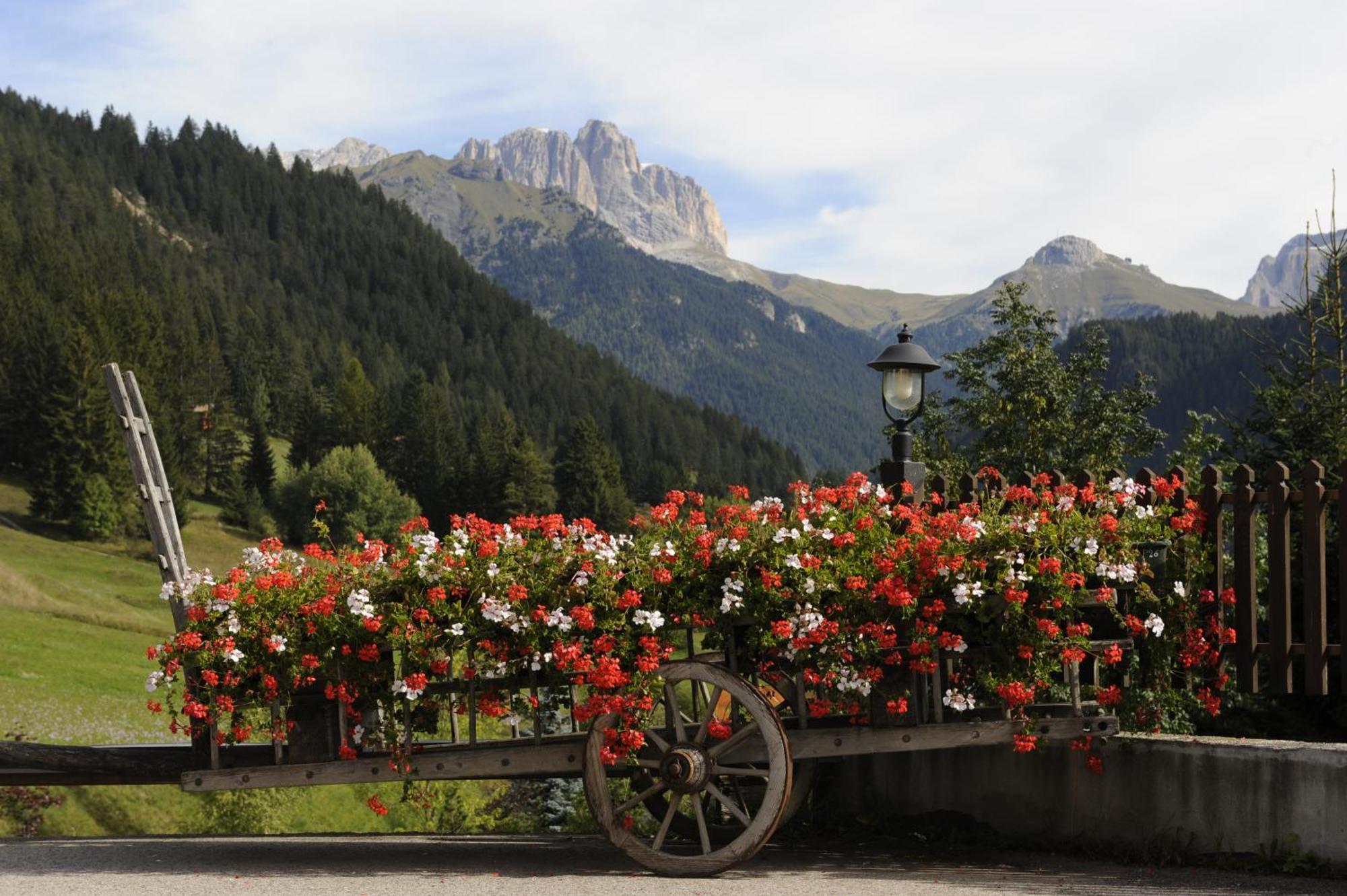 Alpine Touring Hotel-Petfriendly Pozza di Fassa Exterior foto