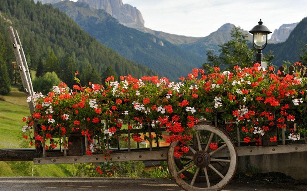 Alpine Touring Hotel-Petfriendly Pozza di Fassa Exterior foto